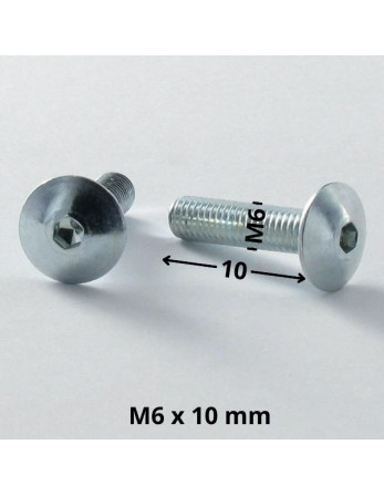 1 x Schraube Flachrundkopfschraube M6x10...