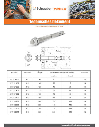 1 x Dübel BOZELENANKER R-XPTIIIZP M12X80...