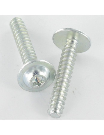 1 x Schraube PVC 20 Breiter Rundkopf 5X30 T25...