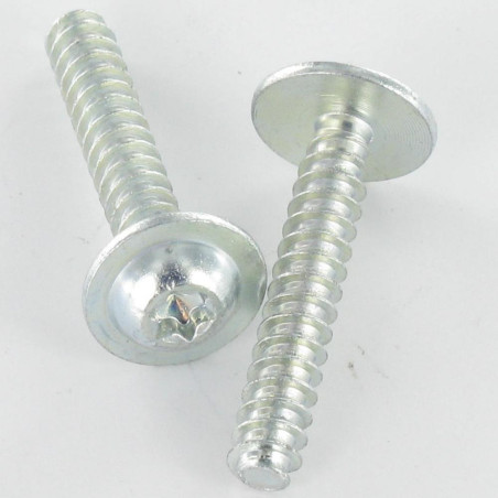 1 x Schraube PVC 20 Breiter Rundkopf 5X30 T25 Verzinkt