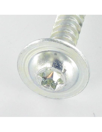 1 x Schraube PVC 20 Breiter Rundkopf 5X30 T25...