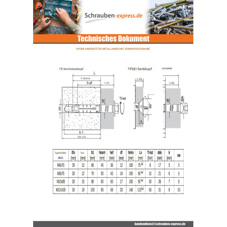 1 x Dübel BOZELENANKER Dübel METALL 12x75 Schraube M8X80 Verzinkt