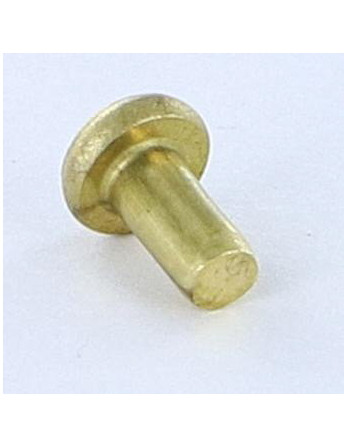 1 x Vollniet Flachkopf 3x5,5 Kopf-Durchmesser...