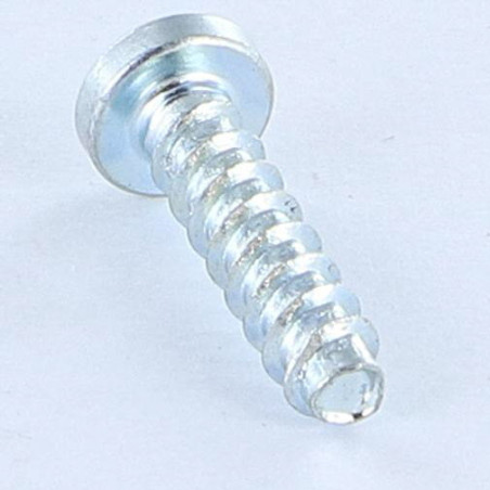 1 x Schraube PVC TRILOBE Zylindrischer Halbrundkopf T15 4X16 Gewinde 45 Verzinkt