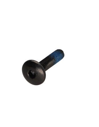 1 x Schraube Flachrundkopfschraube M6x25...
