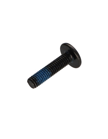 1 x Schraube Flachrundkopfschraube M6x25...