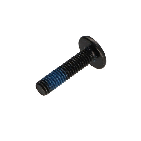 1 x Schraube Flachrundkopfschraube M6x25 Schraubenschlüssel 4 Stahl schwarz verzinkt Schraubensicherung