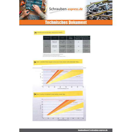 1 x Spanplattenschraube Rundkopf Pozi 5X20 Stahl schwarz verzinkt