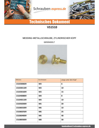1 x Metallschrauben Messing Zylindrischer...