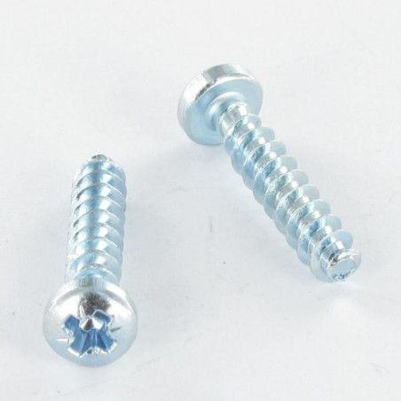 1 x Schraube für Kunststoff Zylindrischer Halbrundkopf Pozi N°1 3x12 Gewinde 30 GRAD Verzinkt Mikroschrauben