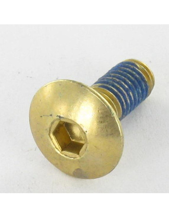 1 x Schraube Flachrundkopfschraube M6x16...