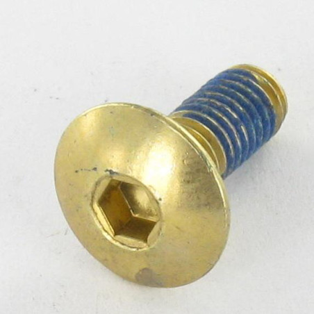 1 x Schraube Flachrundkopfschraube M6x16 Schraubenschlüssel 4 Vermessingtem Stahl FR