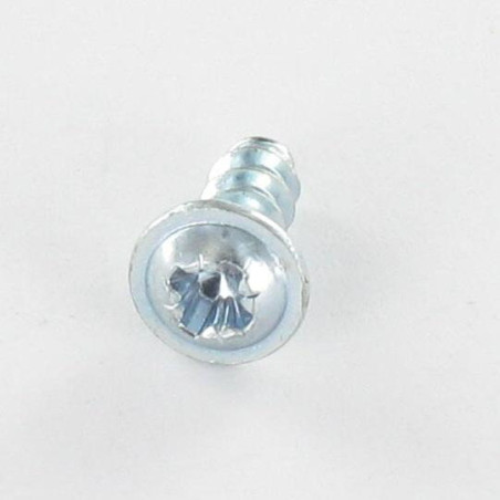 1 x Schraube PVC Flachrundkopfschraube Pozi 2 4X30 S/PTE Verzinkt