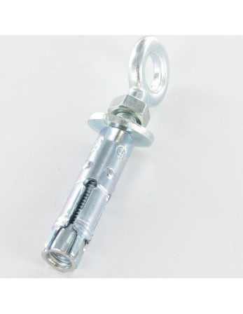 1 x Dübel BOZELENANKER Mit Ringschraube M12...