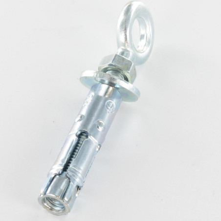 1 x Dübel BOZELENANKER Mit Ringschraube M12 20x80 Verzinkt