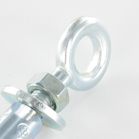 1 x Dübel BOZELENANKER Mit Ringschraube M12 20x80 Verzinkt