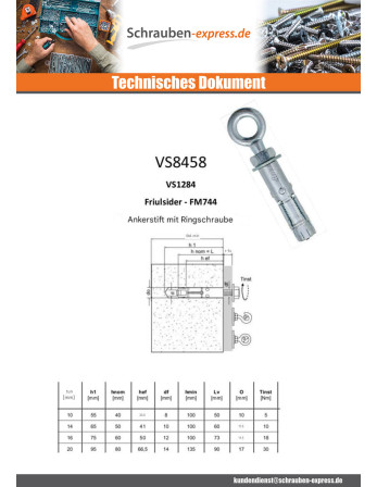 1 x Dübel BOZELENANKER Mit Ringschraube M12...
