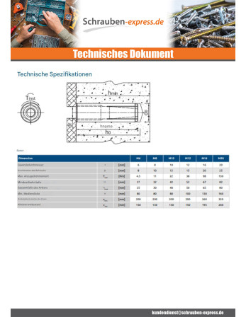 1 x Dübel Nugget RAWLPLUG Verzinkt 10x40