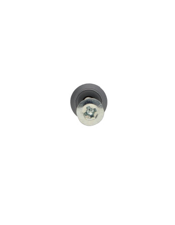 1 x Dübel Nagel Schraube RAWLPLUG Flachkopf...