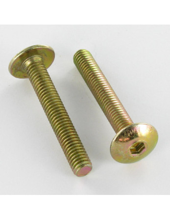 1 x Schraube Flachrundkopfschraube M8X50...