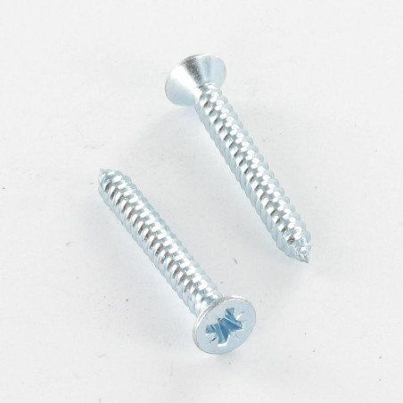 1 x Blechschraube Senkkopfschraube Pozi 4,2 x 19 Verzinkt