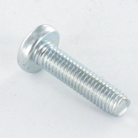 1 x Gewindefurchende Schraube breitem gewölbtem kopf M6x12 T30 Verzinkt