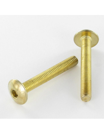 1 x Schraube Flachrundkopfschraube M6X65...