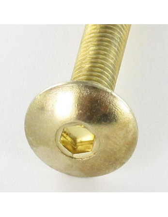 1 x Schraube Flachrundkopfschraube M6X65...