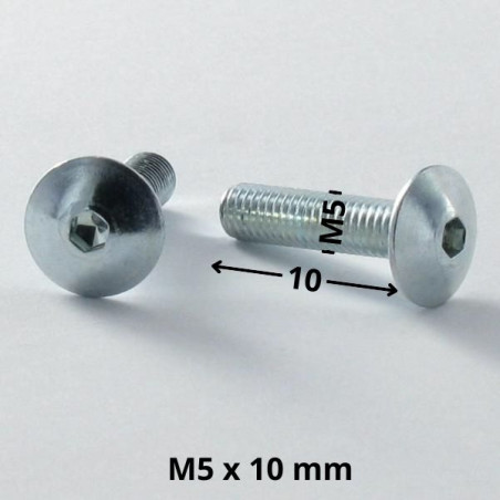 1 x Schraube Flachrundkopfschraube M5x10 Schraubenschlüssel 3 Verzinkt
