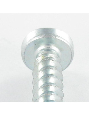 1 x Schraube PVC Zylindrischer Flachkopf Pozi...