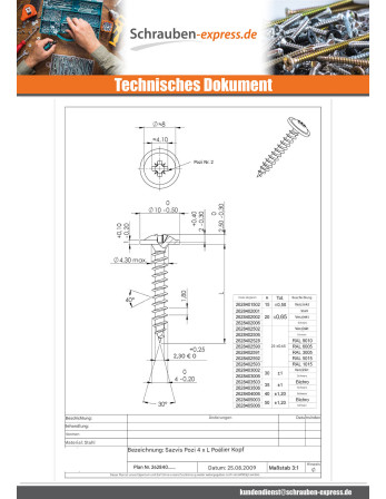 1 x Spanplattenschrauben Flachrundkopfschraube...