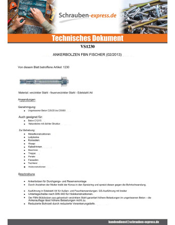 1 x Fischer BOZELENANKER Fischer FBN II 16x220...