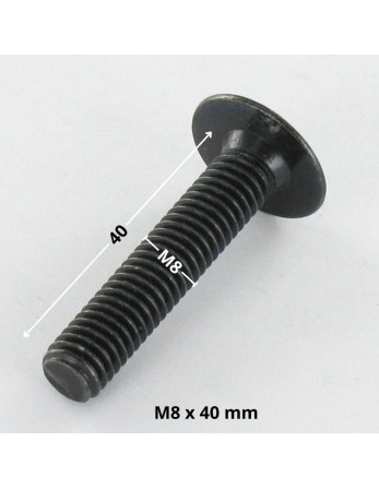 1 x Schraube Flachrundkopfschraube M8X40...