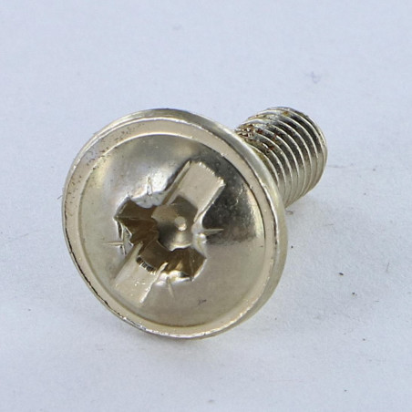 1 x Schraube Flachrundkopfschraube POZI und gespalten M6x15 Nickelstahl