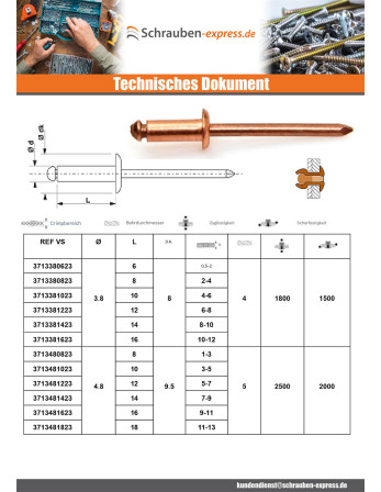 1 x Niet Standard-Rundkopf Kupferstahlstange...