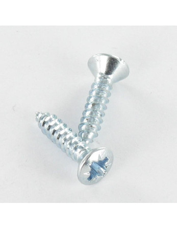 1 x Blechschraube Flacher Senkkopf Pozi 4,8X13...