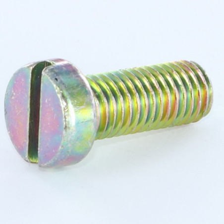 1 x Metallschrauben Zylindrischer Flachkopf Gespalten M4X55 Dichromat