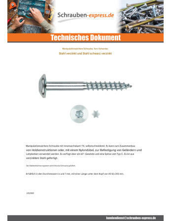 1 x Schraube Binder Sichere 2 stück T40 6 x 40...