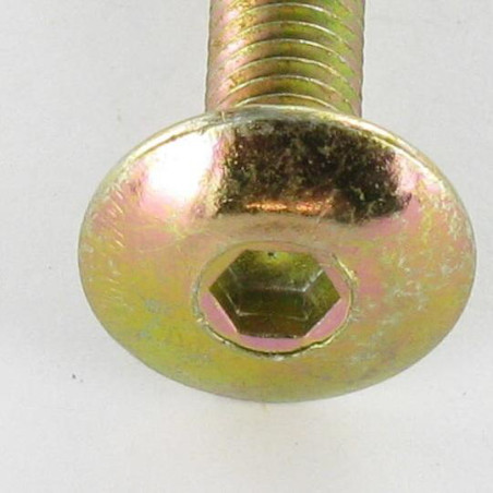 1 x Schraube Flachrundkopfschraube M6X75 Schraubenschlüssel 4 Dichromat