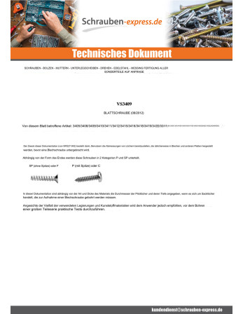 1 x Blechschraube breitem gewölbtem kopf Pozi...