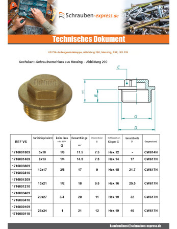 1 x Stecker (männlich) Abbildung 290 5x10...