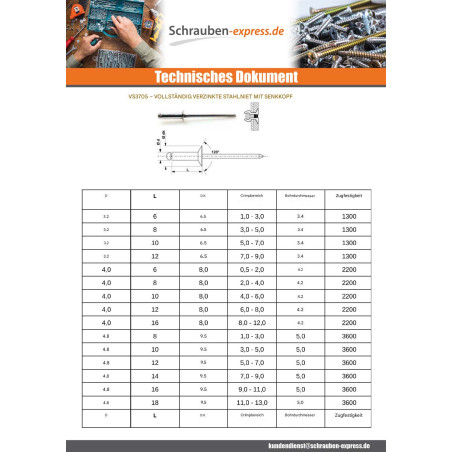 1 x "Niet ZING 3x6 Klemmdicke 1 für 3 Senkkopfschraube