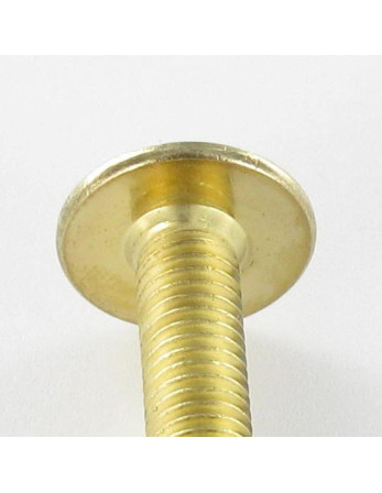 1 x Schraube Flachrundkopfschraube M6X30...