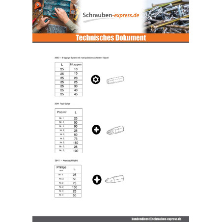 1 x Biteinsatz Sichere Schraube HC+TETON M10 Schraubenschlüssel 6