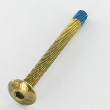 1 x Schraube Flachrundkopfschraube M6X65 Schraubenschlüssel 4 Vermessingtem Stahl Schraubensicherung