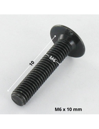 1 x Schraube Flachrundkopfschraube M6x10...