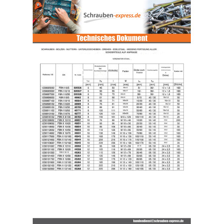 1 x Fischer BOZELENANKER Fischer FBN II 8X131 Mit Gewinde 99 Verzinkt