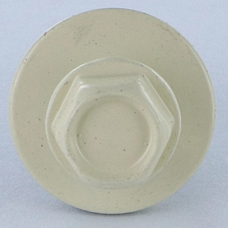 1 x Selbstbohrende Schrauben Sechskantkopf 5,5 x 25 Scheibe mit EPDM Neopren-Dichtung Verzinkt RAL1015 hellelfenbein