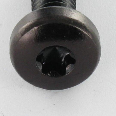 1 x Metallschrauben breitem gewölbtem kopf T30 M6x12 Stahl schwarz verzinkt
