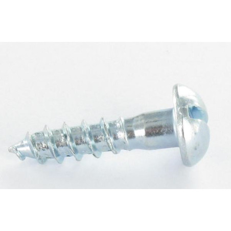 1 x Holzschraube Rundkopf Gespalten 2,5 x 20 Verzinkt Mikroschrauben